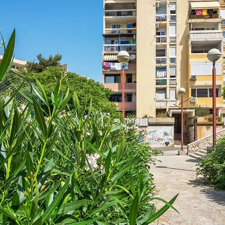 Apartment Teo